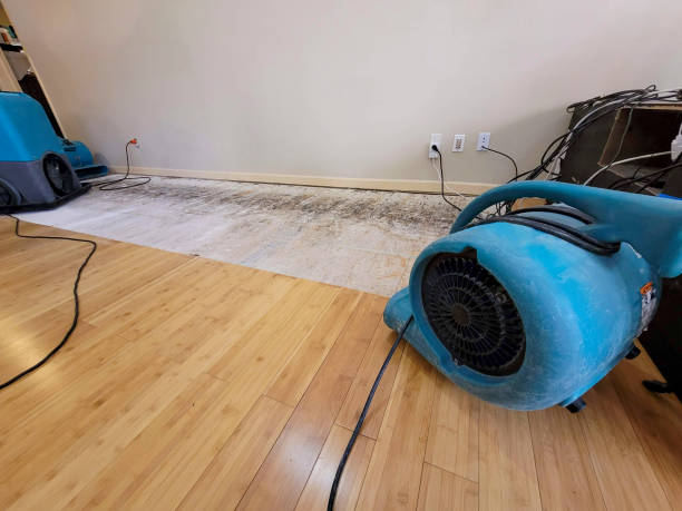 Professional Basement Flood Cleanup technician working in Blue Point, NY